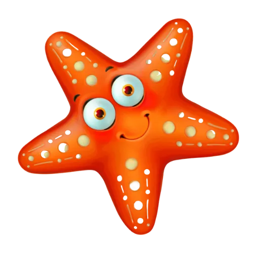 Sea Stars — class illustration