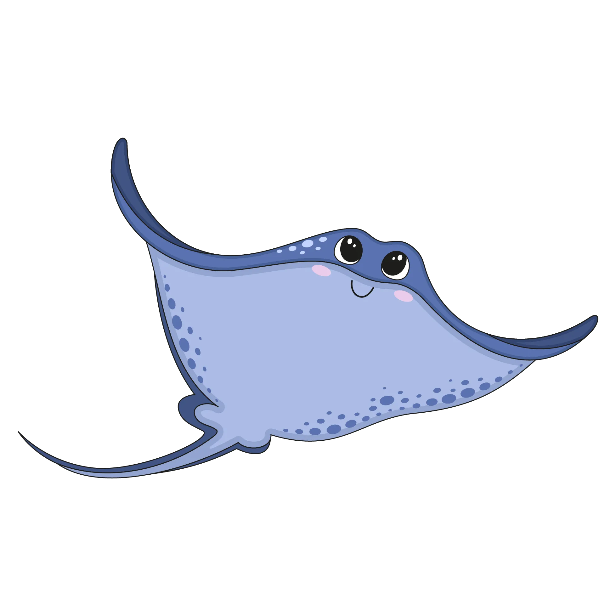 Stingray - Advanced — class illustration